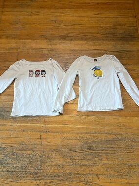 Janie and Jack little girl cotton shirts.